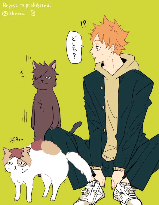何かに警戒するねこたち🐈‍⬛🐈🐣 