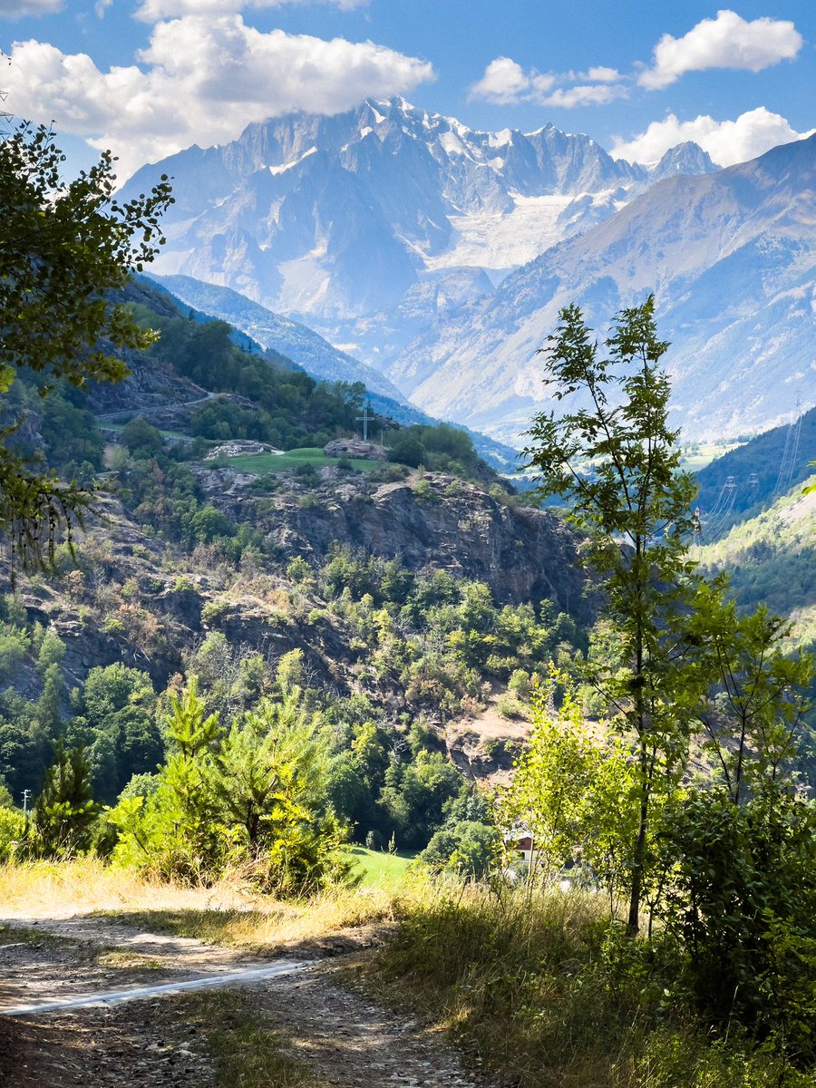 Sidetracked Magazine tweet media