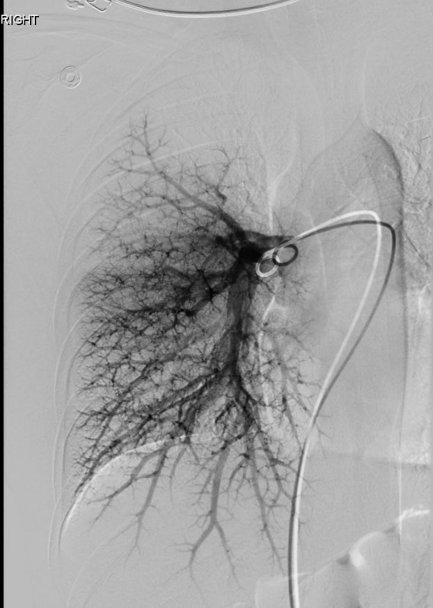 David Léon MD tweet media