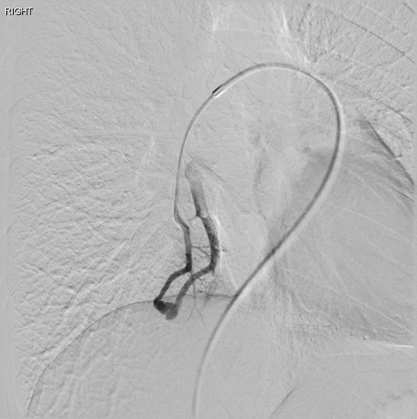 David Léon MD tweet media