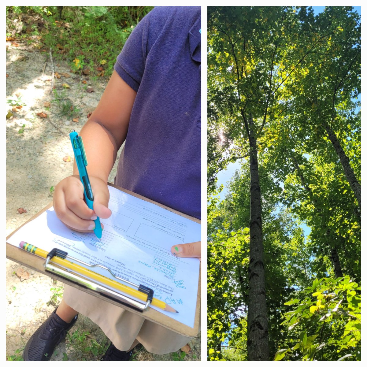 LittleLeaders4's tweet photo. Beautiful day for a nature walk to identify biotic and abiotic! #RockingQ1 #VocabBuilding #conceptbuilding #EWA25 https://t.co/cY0BJI2EV4