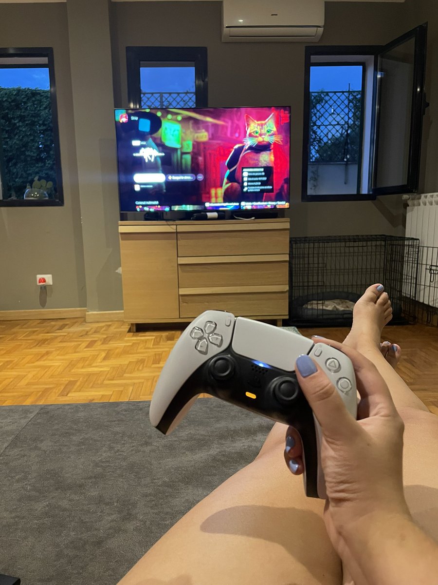 Finally back home #stray