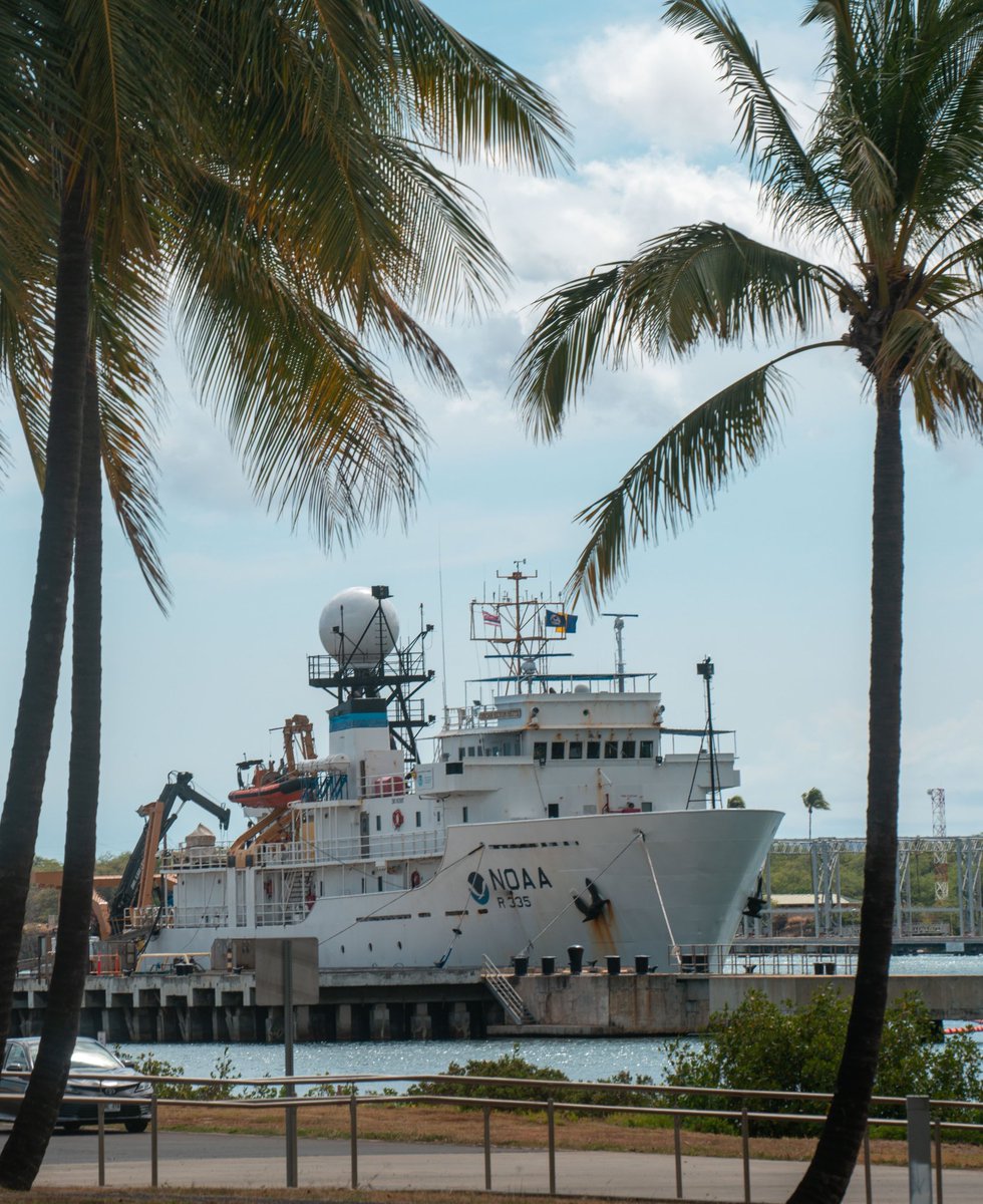I recently completed my internship through <a href="/NOAA/">NOAA</a>'s Hollings Scholarship Program! I had the honor of conducting research with <a href="/NOAAFish_PIFSC/">NOAA Fisheries PIFSC</a> in Honolulu, Hawai'i. 

Thank you <a href="/NOAAeducation/">NOAA Education</a> for this unforgettable opportunity!

Photo creds: Eric Robinson

#NOAA #Hawaii