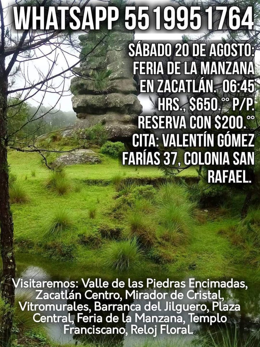 Turismo en CDMX tweet media