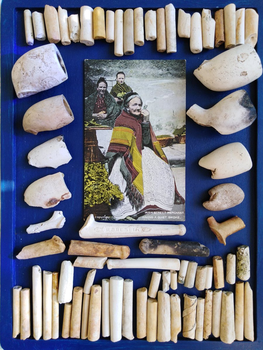My homage to the Dúidíns, the Irish Claypipe. This beautiful old postcard surrounded by all the claypipe pieces I found. #treasuresoftheshore #irishheritage @Donegalcomuseum