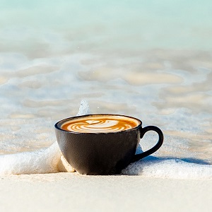 Check out our Summer Sale. We've got some cool coffee equipment on sale, including a cold brew cafetiere and grinders. Plus a reusable bottle for those of you looking to drink more water during the hot summer days 😎.
eacoffee.co.uk/sale-items/