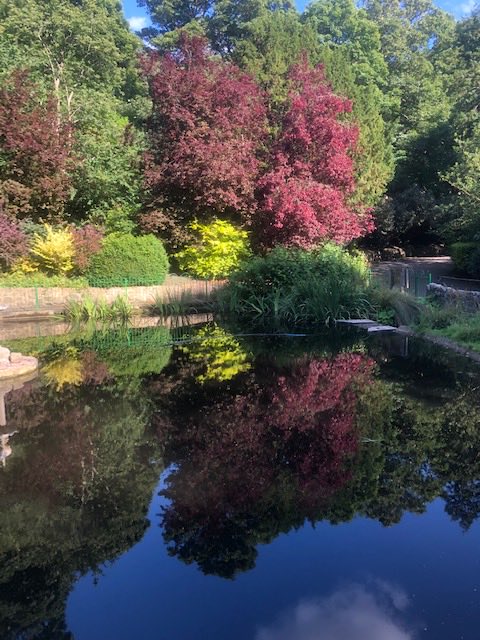 Old_LowLight's tweet image. Gorgeous picture of reflections from Northumberland Park ⁦@NlandPark⁩ by ⁦@Old_LowLight⁩ volunteer Rachel.