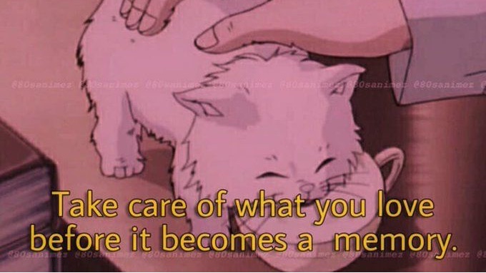 milkstrology's tweet image. 🍉 capricorn risings: full moon in aquarius 8/11 moodboard horoscopes 🍉

--"I think this is a great time to restructure what you value versus what you do based on what you think is expected of you..."