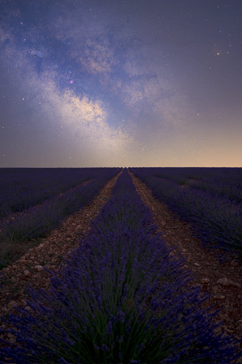 JAndpla's tweet photo. Noche estrellada en los campos de lavanda.
El pasado mes de julio fui hasta Caleruega, donde te puedes encontrar unos preciosos campos de lavanda. Una gozada disfrutar de su aroma y el frescor de la noche.
#caleruega #Burgos #NightPhotography #nightsky #nightscaper #MilkyWay https://t.co/GC4K2o7twH