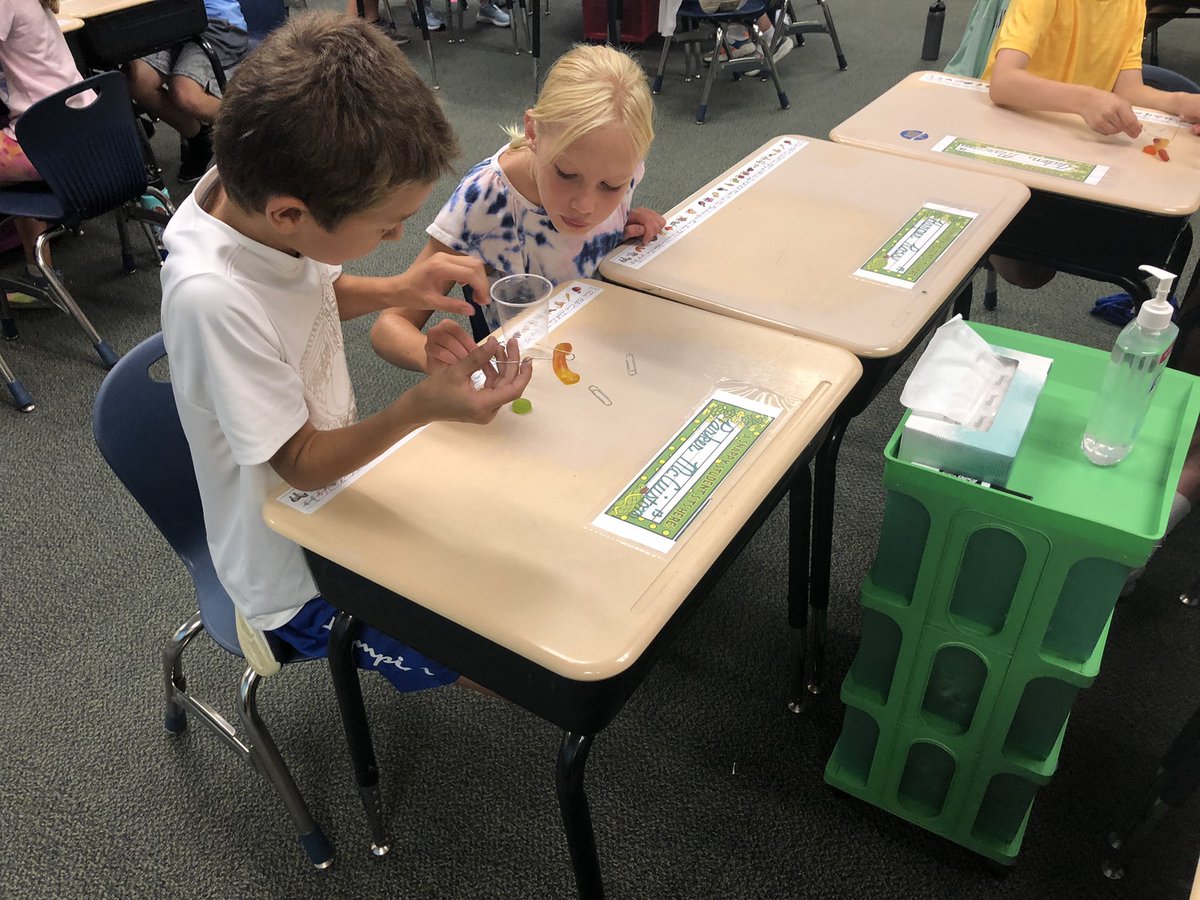 callahanclass's tweet photo. Saving Fred on the first day of school!! @WoodbrookPTO1 @WoodbrookCCS https://t.co/cfbPvpdGDJ