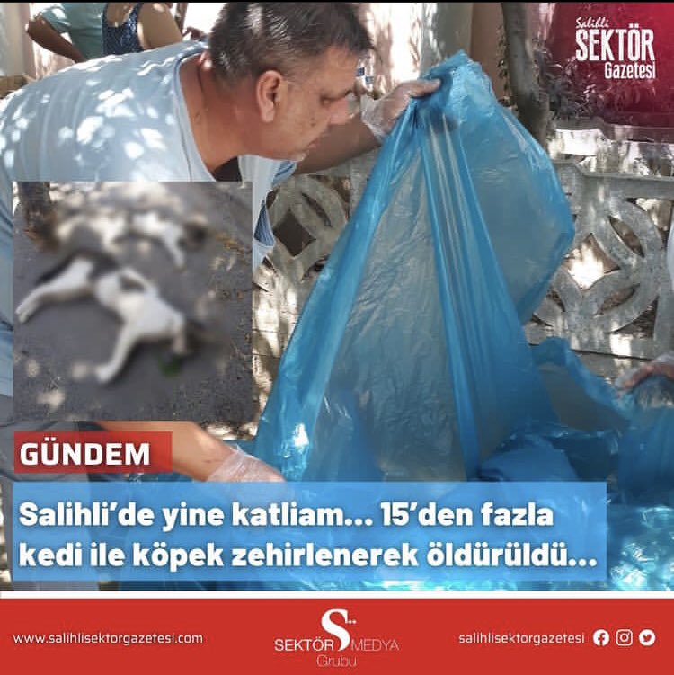 Petevenegondi's tweet photo. Salihli’de kapımızın önünde, hayvan sever dostlarımızın gözü gibi baktığı 15 can katledildi! 😔 

Bu ‘insan’ müsveddesi yaratık veya yaratıkların tutuklanması ve hak ettikleri cezayı alması için destek verin lütfen.
#salihlihayvankatliamı
@barinakmelegi 

https://t.co/pZth1YZtVO https://t.co/C6HNjHfJ5Z