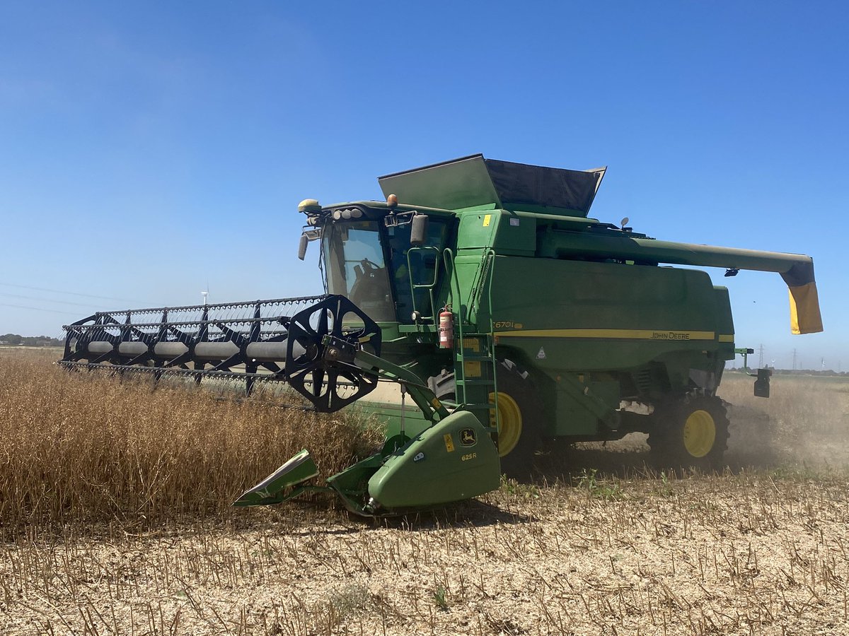 David Hoyles tweet media