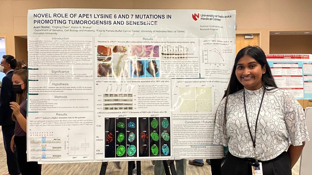 UNMC_mdphd's tweet photo. Avani Nooka worked with Dr. Kishor Bhakat in the Department of Genetics, Cell Biology, and Anatomy. View Avani's poster on the "Novel Role of APE1 Lysine 6 And 7 Mutations in Promoting Tumorogensis and Senesencehere" here: https://t.co/ZyEzW3TFKW https://t.co/096DFEdlyt