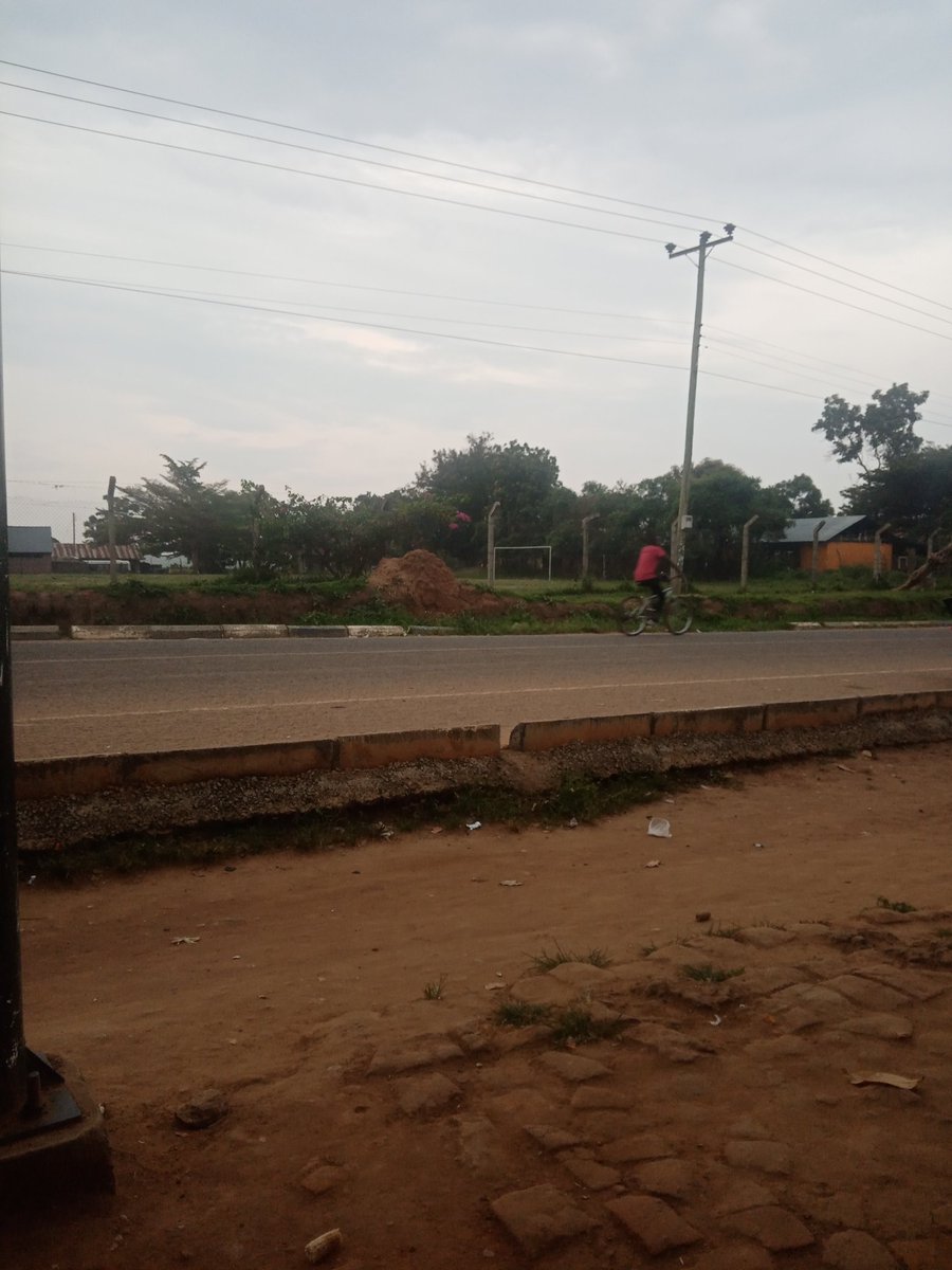 CavidRay's tweet image. 