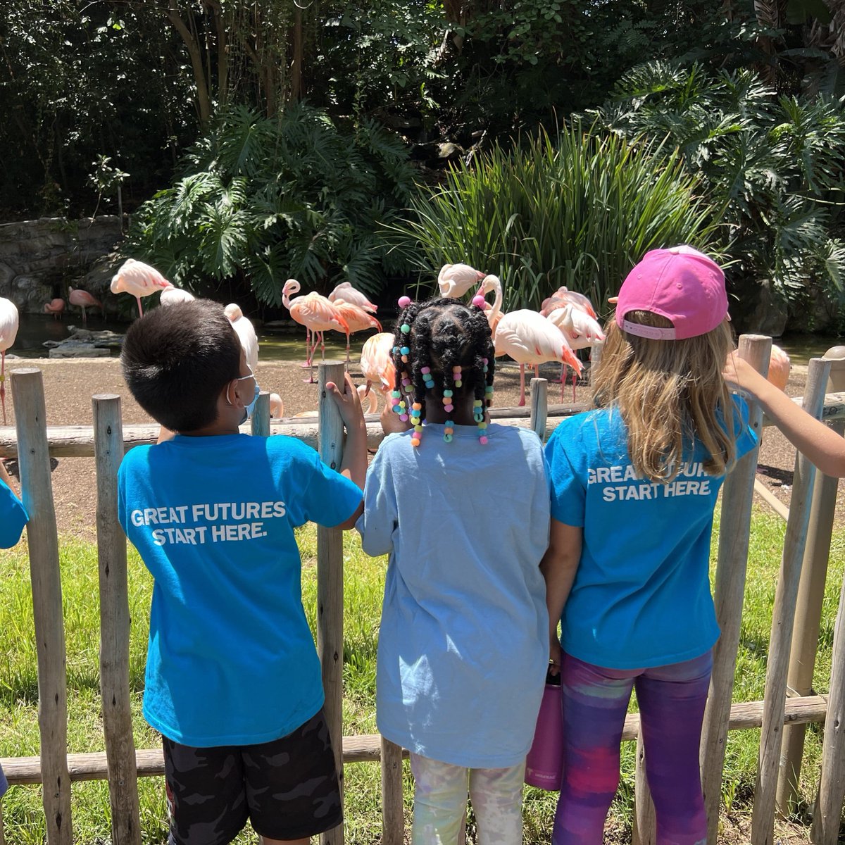 Great Futures Start Here. 💙

#bgcvenice #summercamp #kids #zoo
