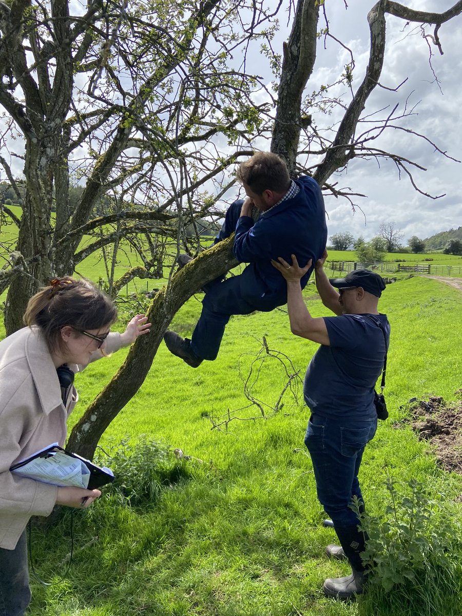 For tonight’s plug of The Farm, I want to pay homage to our awesome director @keownmcniamh, who never asked her actors to do anything she wasn’t prepared to do herself. <a href="/standupfarmer/">Jim Smith</a> still managed to get  genuinely stuck in this tree tho 😂
#TheFarm #RIDEORDIE #BehindTheScenes