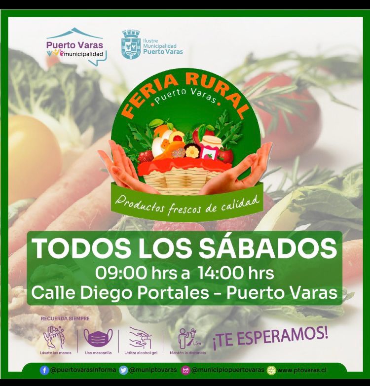 muniptovaras's tweet photo. #FeriasRurales🌱Disfruta productos saludables y orgánicos de hombres y mujeres locales en las Ferias Rurales #PuertoVaras
📍#NuevaBraunau ➡ Mercado Rural Intercultural
📍#Ralun ➡ Feria Creadores de Ralún
📍#PuertoVaras ➡ Mercadito Rural
📍#PuertoVaras ➡ Feria Rural https://t.co/F3aZzZRrXq