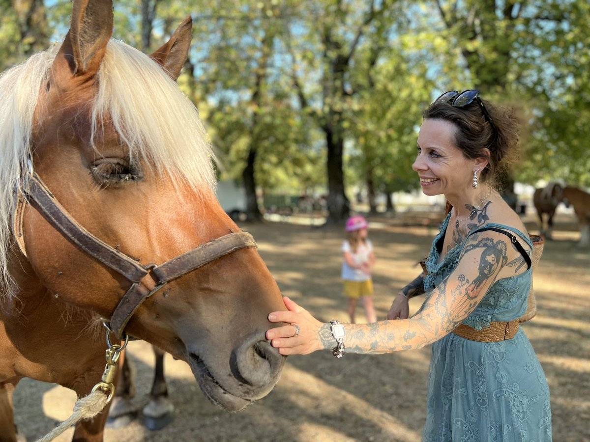 GrangierGe's tweet photo. 📸 J’étais cet après-midi à #Blamont au concours de modèles et allures du cheval Comtois. 🐴
Fière de nos éleveurs de chevaux #Comtois qui perpétuent par leur travail formidable cette magnifique race #équine si chère à notre territoire ! 🥰 https://t.co/MBxDJIQOr6