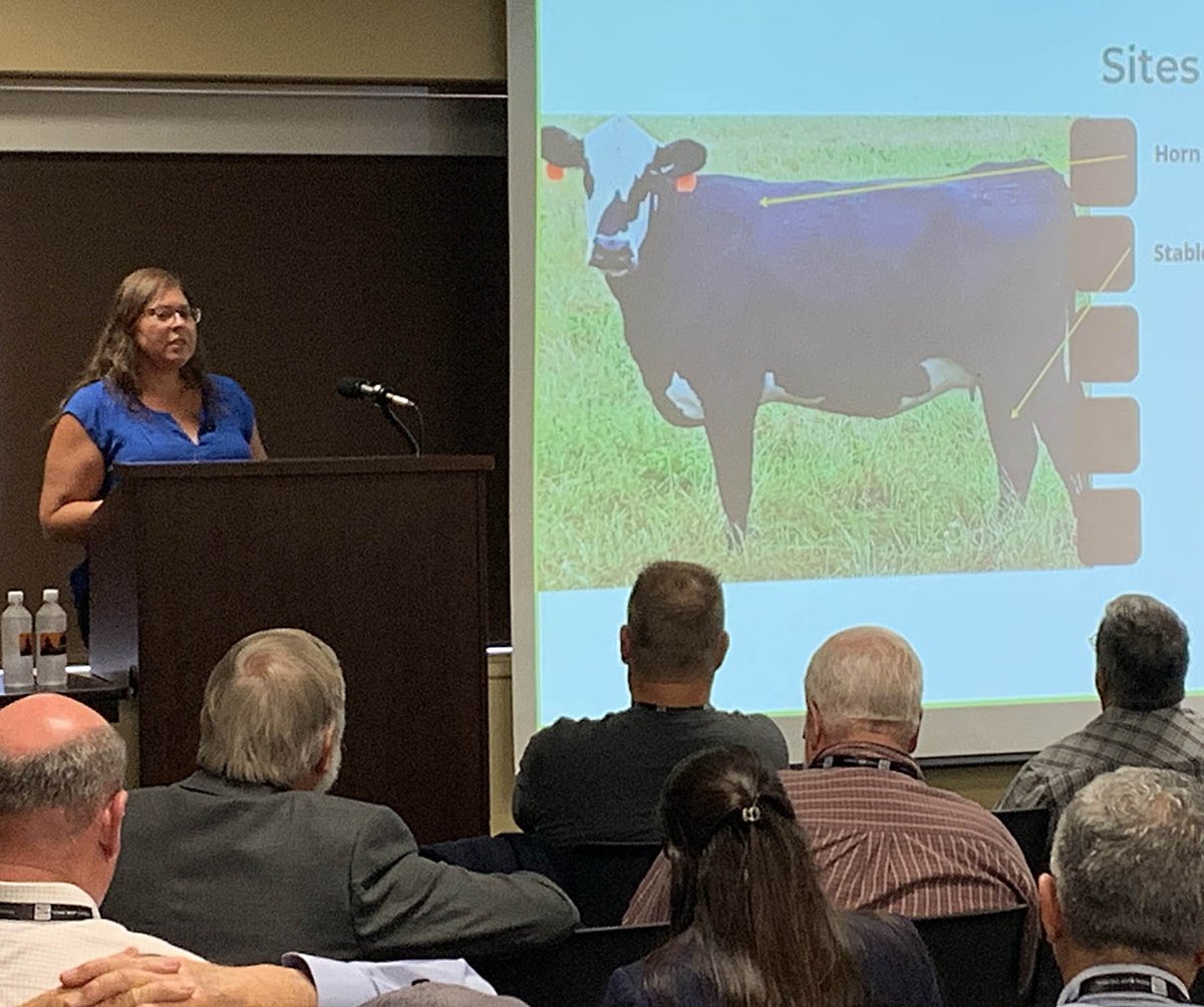 Texas A&M Entomology tweet media