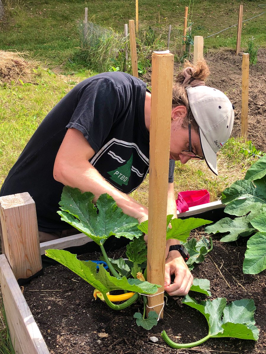 Plants take care of us as much as we take care of them! #plants #nature
#londonontario #londonontariofood #growcooklearn #communitygardening #communitygatherings #westviewcommunitygarden #westviewcommunitychurch #1000Wonderlandrdeast