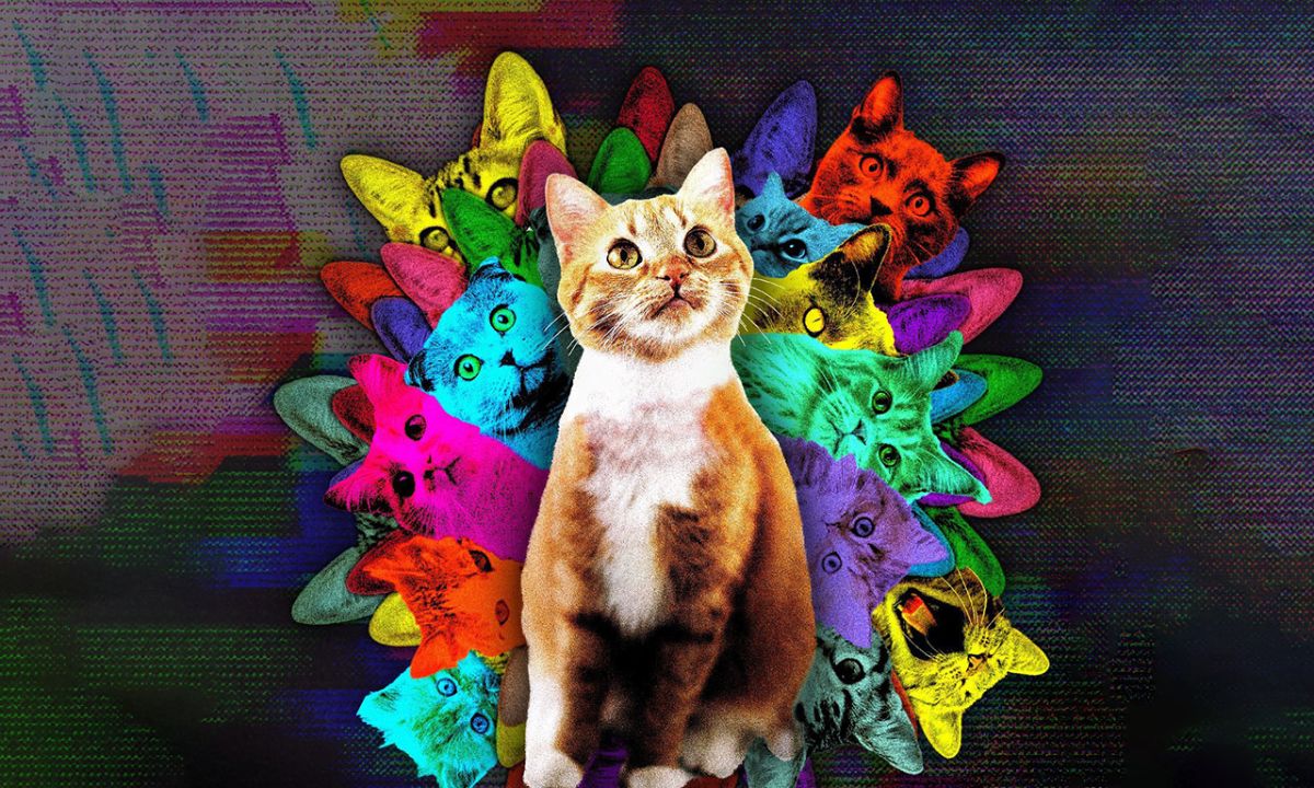 creativalliance's tweet photo. This Week: CatVideoFest &amp;  Kerplunk! - https://t.co/68Cr9PFFr3 https://t.co/BjjlCo1Qry