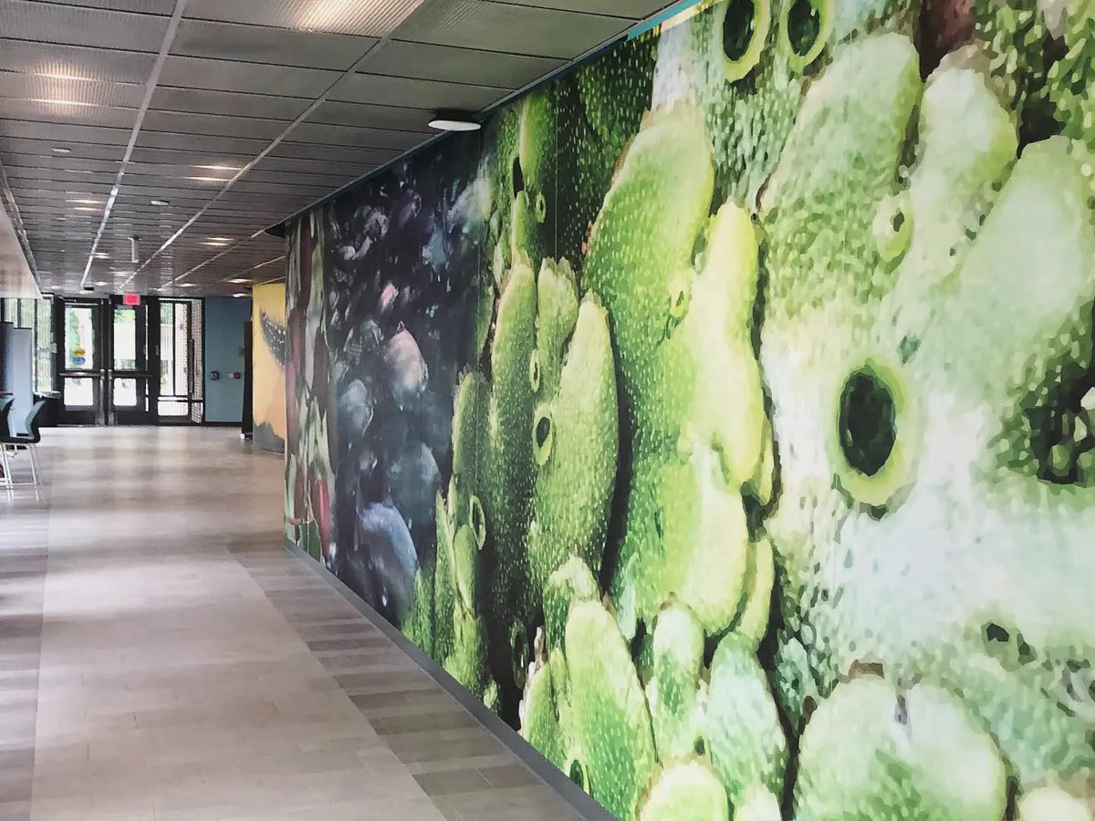 placeworkstudio's tweet photo. It was fun to visit our new wall graphic at @UofNH's Spaulding Hall addition. We worked with @COLSA_UNH to create this large scale graphic that highlights some of their current research. Inspiring to students and just plain beautiful! 🌟#UNH #SpauldingHall #UofNH #UniversityofNH https://t.co/KKOlTjABdd