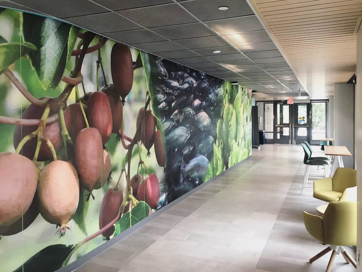 placeworkstudio's tweet photo. It was fun to visit our new wall graphic at @UofNH's Spaulding Hall addition. We worked with @COLSA_UNH to create this large scale graphic that highlights some of their current research. Inspiring to students and just plain beautiful! 🌟#UNH #SpauldingHall #UofNH #UniversityofNH https://t.co/KKOlTjABdd