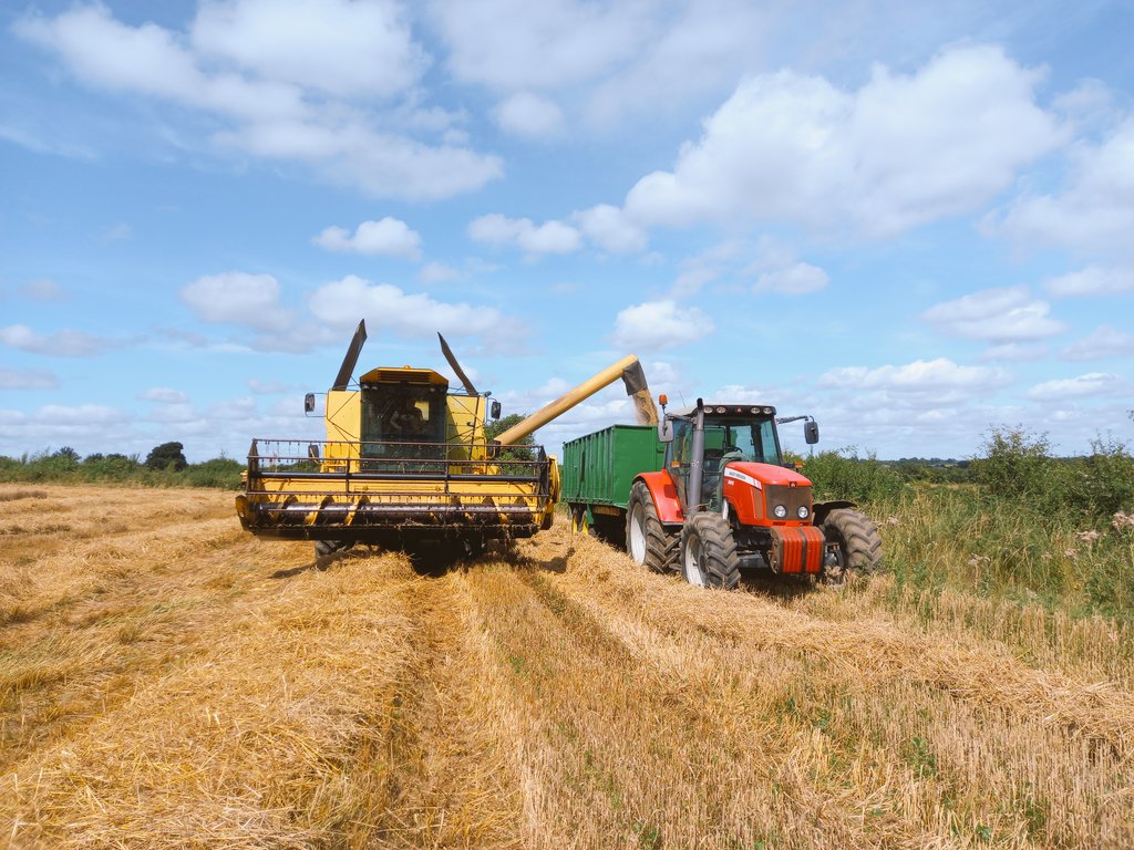 JacksonOrganics's tweet photo. And after an enjoyable morning showing the Irish Tillage Consultants Association around I actually got some time to do some farming and jump up on the combine and finish the harvesting. Great weather for stress free harvesting https://t.co/o2BdpF8YCy