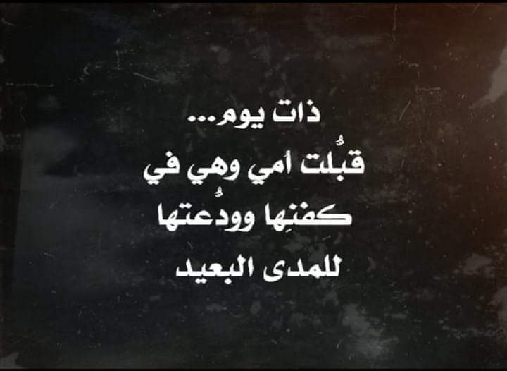 Dima tweet media