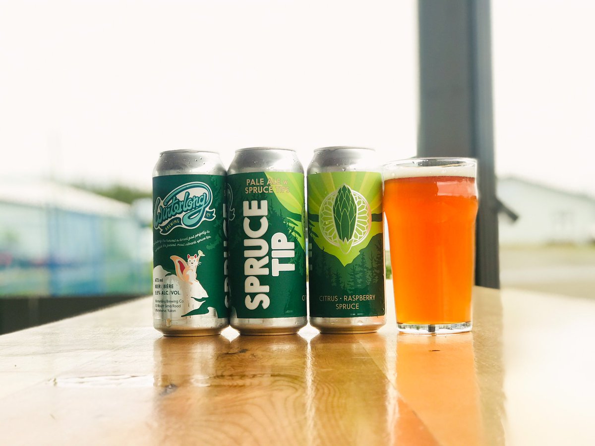 winterlongbeer's tweet image. SPRUCE TIP is back this FRIDAY, August 12th!  Pre-order Friday am @ 9 am and available in store at noon.  This is our 3rd batch of 2022 and there will be one final 4th batch in the fall.  Enjoy this seasonal brew while you can.
#sprucetip #sprucebeer #winterlong #yukoncraftbeer