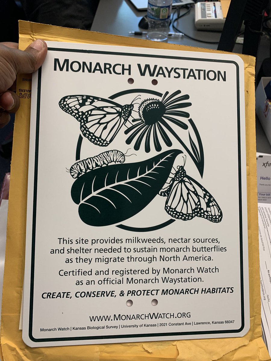 hensongrade3's tweet image. As of today we are official #monarchweighstationregistered #scienceisaverb #thisishowweSTEM #keepexploring #ic2223