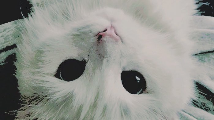  ⋆ 𝓡𝐨𝐰𝐚𝐧 𝓛. 𝓢𝐜𝐚𝐦𝐚𝐧𝐝𝐞𝐫. tweet media