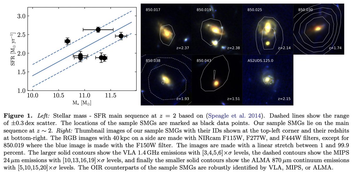 #キャルちゃんのastrophチェックJWSTの観測画像から、z~2の7つのサブミリ波銀河(SMG)の携帯を解析。7つ全てでバルジがあることを発見。バルジ平均サイズは0.7kpcなども判明。さらに解析から、z~2ではSMGの恒星バルジは活発に形成されている最中であることが示唆された。ApJL 