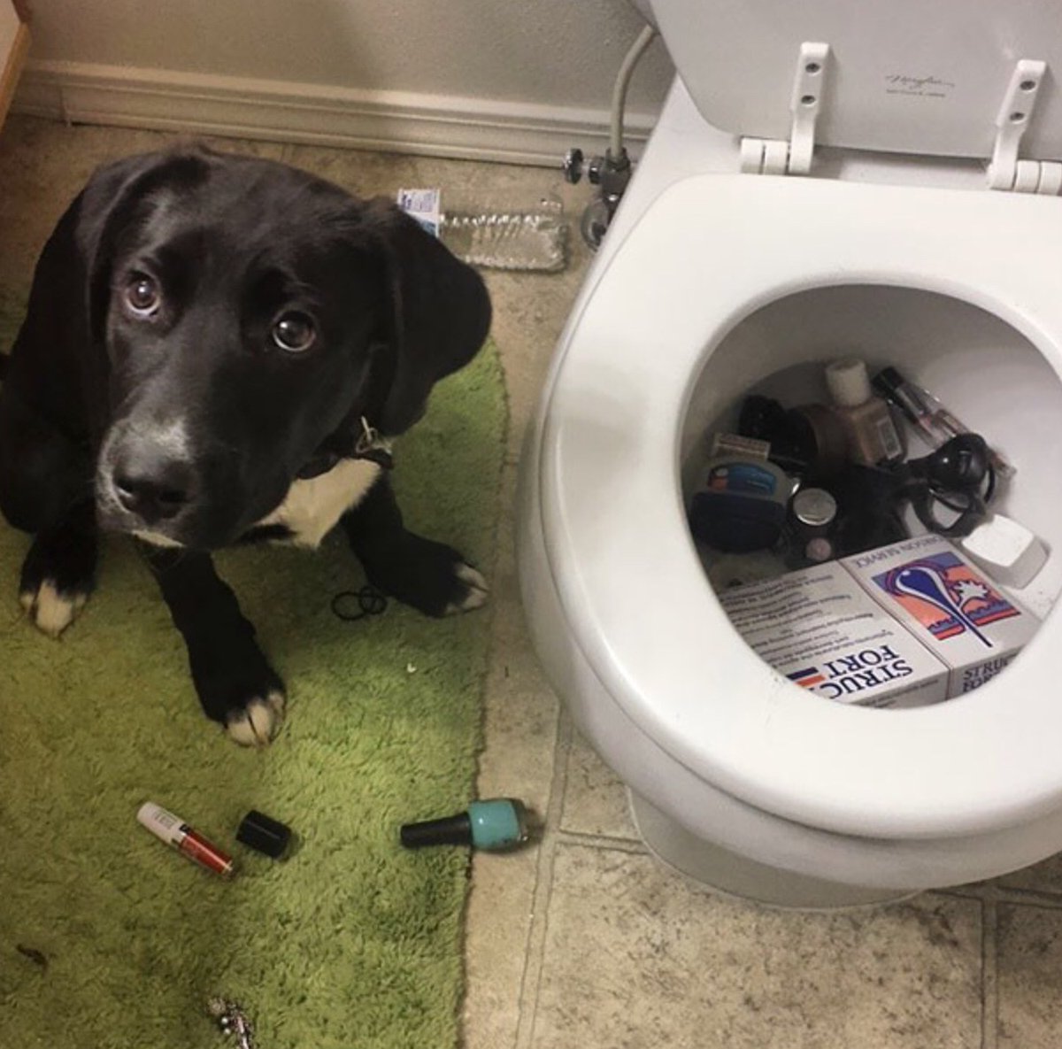 In six words or fewer, write a story about this photo.
#sixwordstory #WritingCommunity