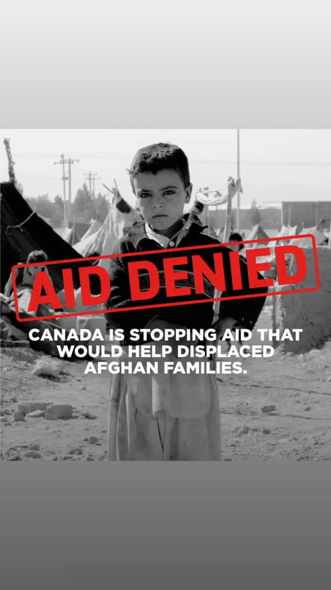 aamullanee's tweet photo. I am outraged that the Canadian government had stopped charities like Islamic Relief from sending relief to Aghanistan! 

Canadians, please go here and email your MPs!

https://t.co/ksDZosyAVU https://t.co/bXYoQwMWsZ