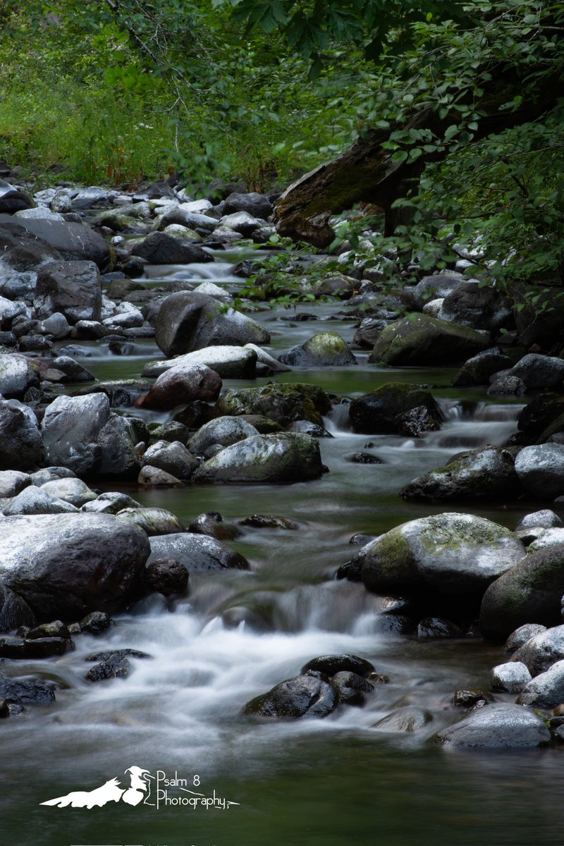 matthewstraub's tweet photo. "When you pass through the waters,
I will be with you"
- Isaiah 43:2a
Took the family camping to escape the sweltering heat. It was nice to take some time to practice some composition techniques.
#oregonexplored #oregoncoastrange #pnwonderland #landscapephotography https://t.co/BU6oP6muqf