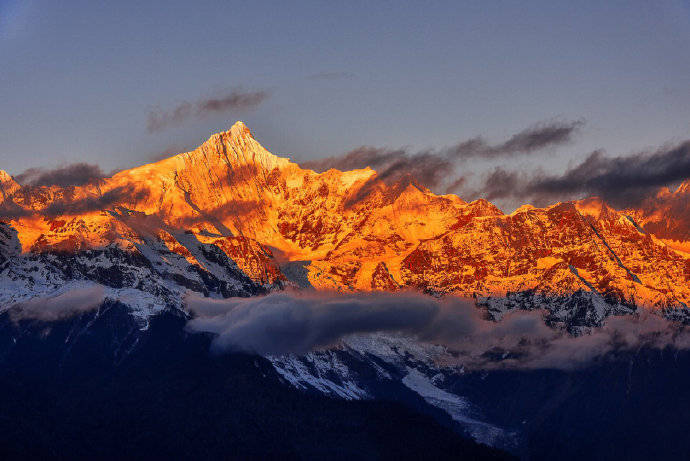 ViVi Tong tweet media