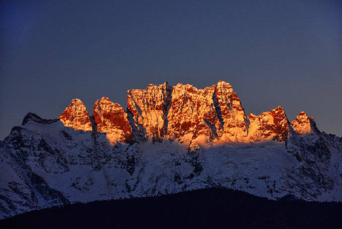 ViVi Tong tweet media