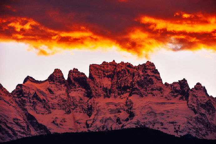 ViVi Tong tweet media