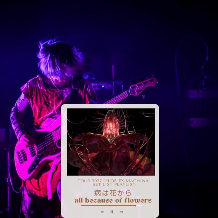 Listen to Cö shu Nie『TOUR 2022 “Flos Ex Machina”』Setlist05．病は花から 