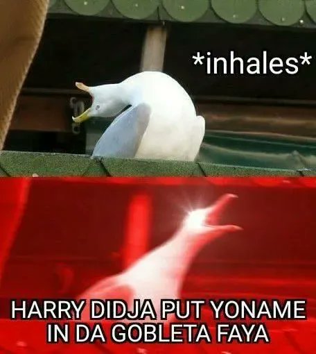 MuggleNet tweet picture