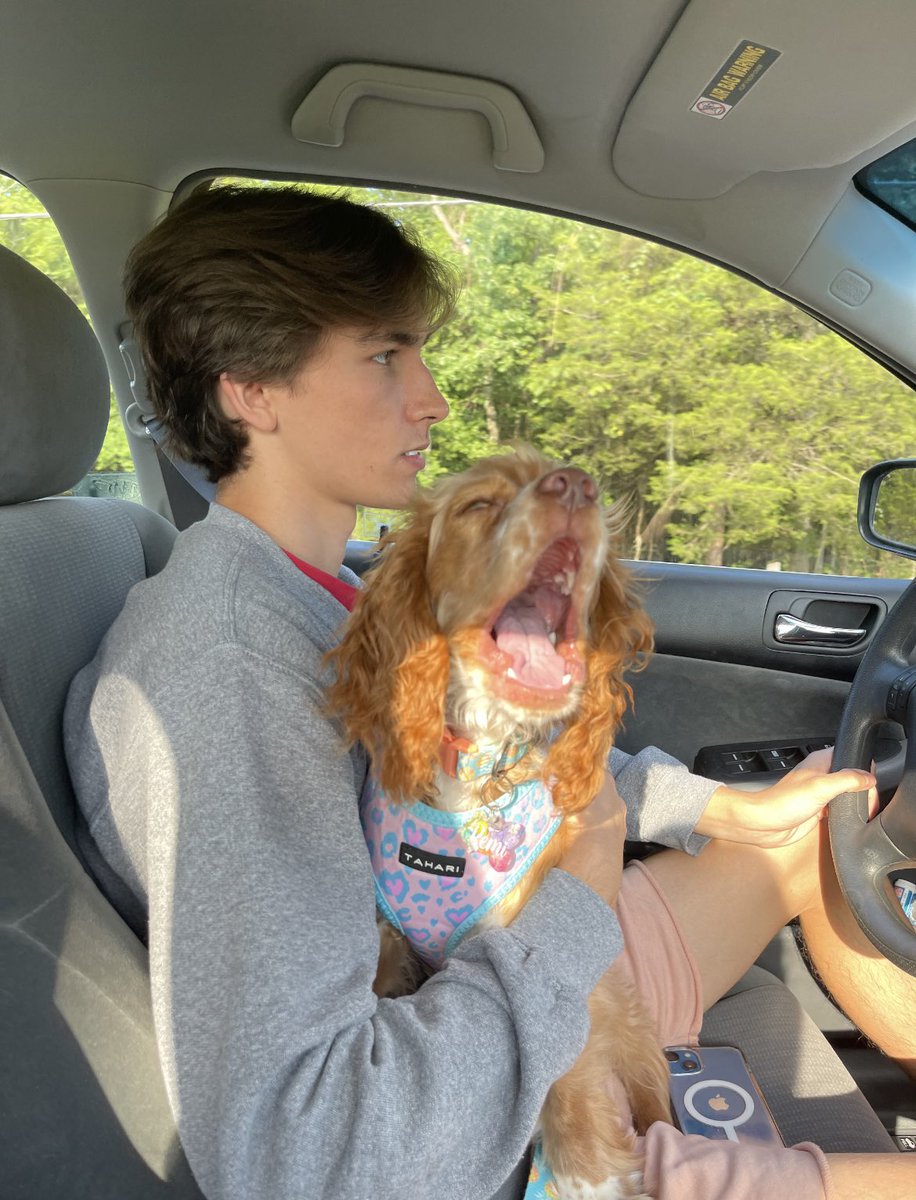 S63533349's tweet photo. @RooTroopNFT fam, someone find @IntelligentCup his first Roo he needs a twin🥰 #rootyroobitch https://t.co/oGdh7GHh39