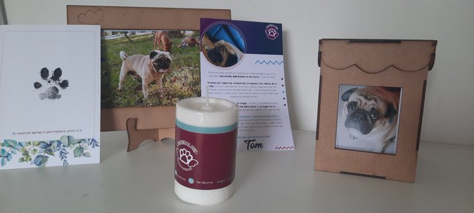 I'm sorry if you don't be notified about me for many days , my puppy dead recently and today I just come<a href="/tag/latina"class="tags"><span>#latina</span></a><a href="/tag/cammodel"class="tags"><span>#cammodel</span></a><a href="/tag/bigass"class="tags"><span>#bigass</span></a><a href="/tag/chaturbate"class="tags"><span>#chaturbate</span></a><a href="/tag/webcammodel"class="tags"><span>#webcammodel</span></a>