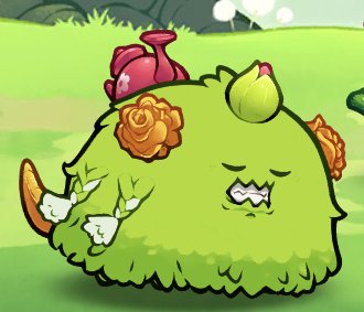 TheFlyingBird tweet media