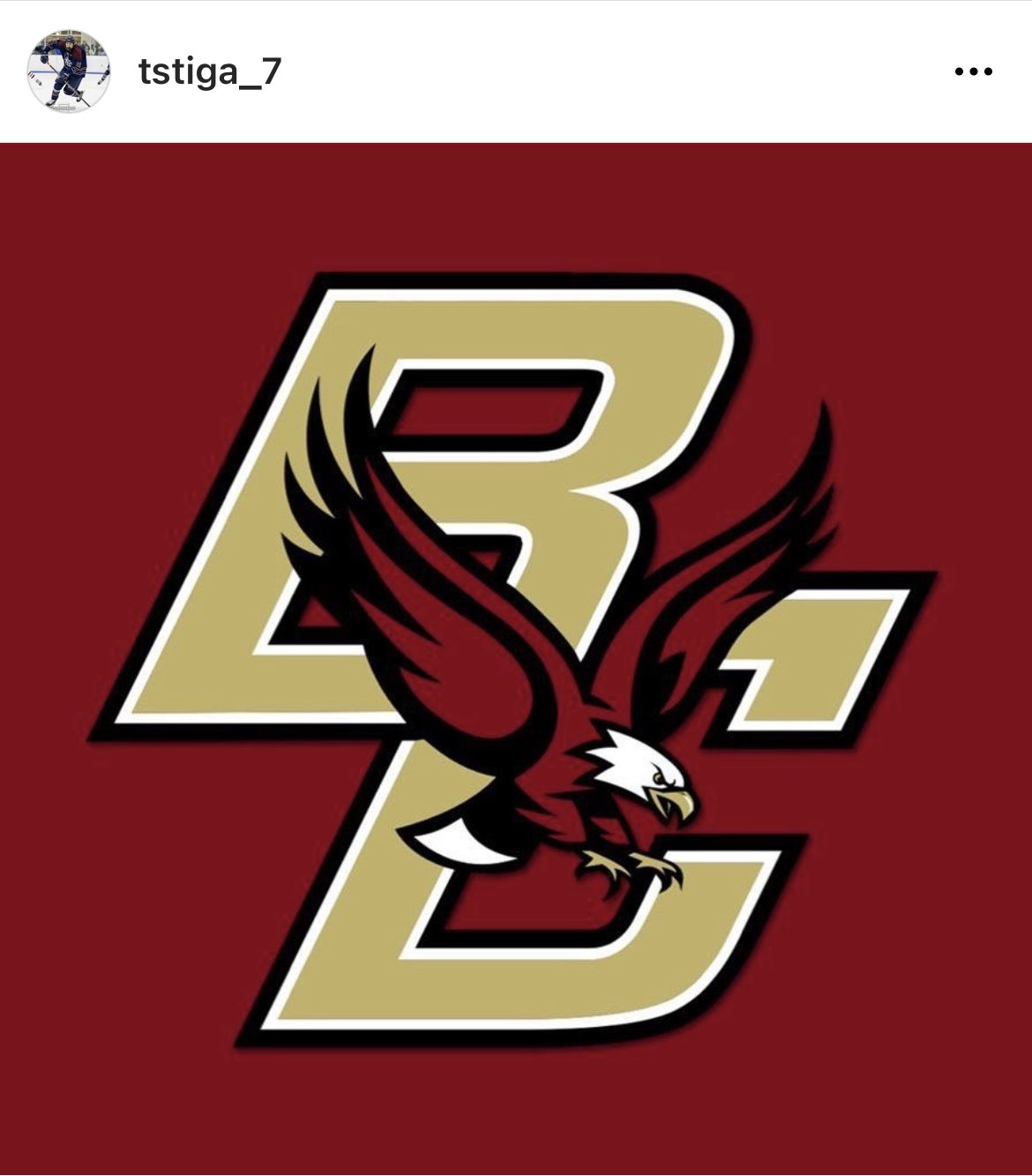 BC Hockey Blog (BCHockeyBlogger) / Twitter