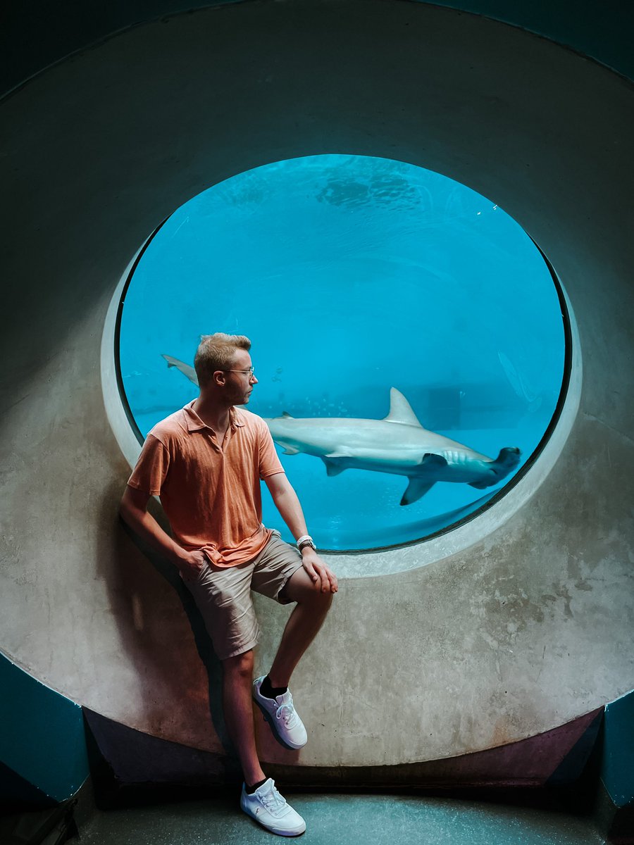 SimonNordh's tweet photo. Stoked by the sharks at @FrostScience https://t.co/C17SVeaJ7k