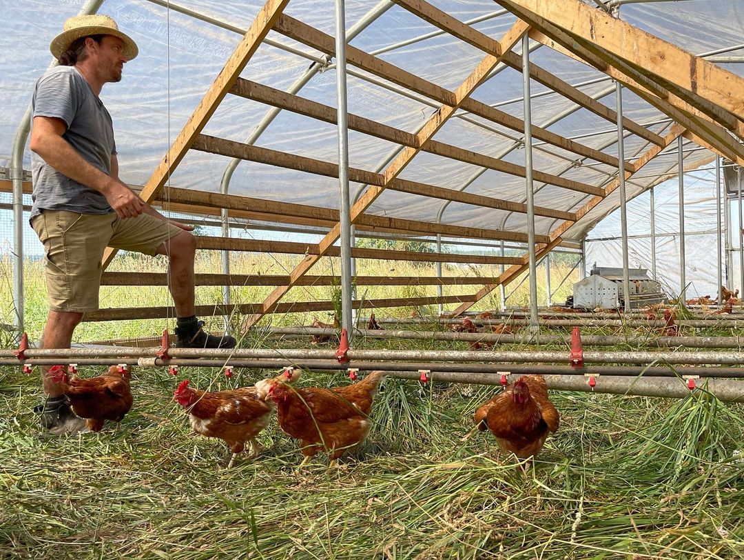 Meatme.ca tweet media