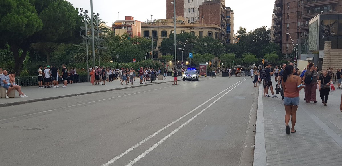colau_anti's tweet photo. Ejemplo de pacificación by @AdaColau @eloibadia @bcn_ajuntament @bcnencomu @EnComu_Podem #lostalibanesdeBCN #elCancer🤬🤬🤬 nadie en la calzada🤦🏻♂️🤣🤣 irónico pero la pura realidad. Seguro que la Faraona desde el balcón riendose🤮 https://t.co/V0vbtKE55Z