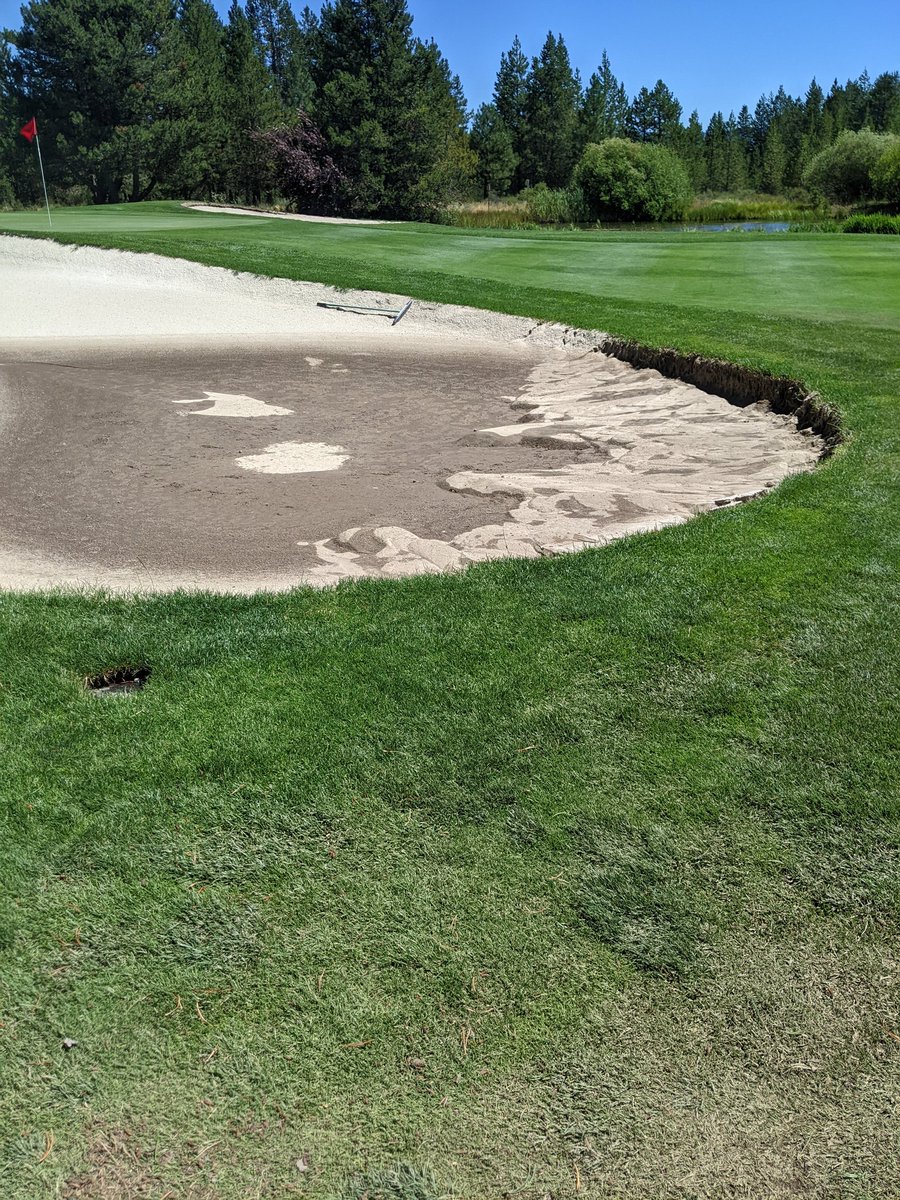 I wanted some rain, just not .75
In 15 minutes.