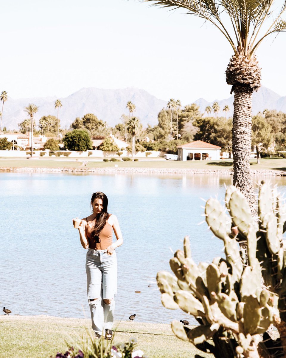 Don’t miss the chance to make your summer break twice as rewarding. Enjoy Double Points and up to 25% off your stay when you book by August 31. Find your perfect getaway now: bit.ly/3vC6yuR ☀️📸 IG: chantefox

#Millennium #MyMillennium #TheMcCormickScottsdale #Arizona